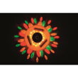 Bestway 58419 Svietidlo, FLOWCLEAR™, LED, do bazéna, 3xAA, IP67, 10, jutro.sk
