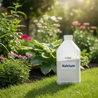 Kalcium