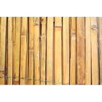 Ostatné druhy plotov | JUTRO.sk