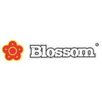 Blossom | JUTRO.sk