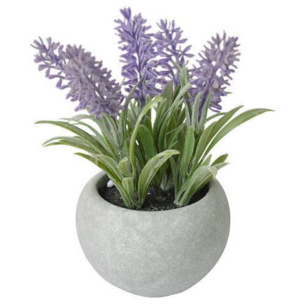 Levanduľa MagicHome, 17 cm, v cementovom črepníku, umelá