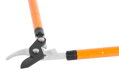 Nožnice na konáre Strend Pro KT3835A, Cut38, teleskopické 2 detail