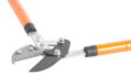 Nožnice na konáre Strend Pro KT3853A, záhradné, cut.50, CrV, teleskopické 2 detail