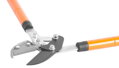Nožnice na konáre Strend Pro KT3853A, záhradné, Cut50, CrV, teleskopické