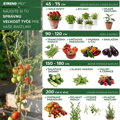 Tyč oporná k rastlinám a paradajkám Garden SB 11/2100 mm – oceľ/plast