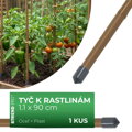 Tyč oporná k rastlinám a paradajkám Garden TY 11/900 mm