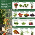 Tyč oporná k rastlinám a paradajkám Garden TY 16/2100 mm