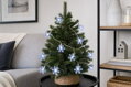 Vianočné osvetlenie reťaz SnowFlake, 10 LED, studená biela, 90 cm