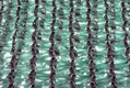 Tieniaca sieť na plot HDPE 80% 1,5x10m, zelená 3 detail