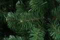 Vianočný stromček MagicHome Arthur, jedľa extra hustá, 180 cm, kovový stojan, 8, náradie