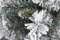 Vianočný stromček MagicHome Harry, jedľa zasnežená, 180 cm, 5, náradie