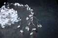 Vianočné osvetlenie Twisted Stars 180S, 180 LED, studená biela