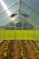 Skleník Strend Pro Greenhouse, Alu, PC 6 mm, 370x250x195cm