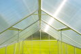 Skleník Strend Pro Greenhouse, Alu, PC 6 mm, 370x250x195cm