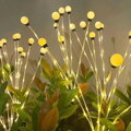 Solárna záhradná lampa Garden Floro, 42xLED, 66 cm