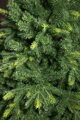 Vianočný stromček Arven 3D+2D, 180 cm, priemer 124 cm