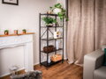 Regál Racks RAW5T – kovový, 5 políc, 163x72x34 cm, 50 kg/polica, na kolieskach