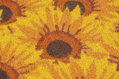 Rohožka MagicHome, pred dvere, Sunflowers, kokos/pvc, 45x75 cm