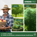Sieť proti vtákom Strend Pro 4×10 m, oko 18 mm, PE