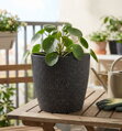 Čierny kvetináč Strend Pro Stone, 28x26 cm, efekt kameňa