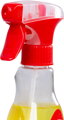 Odstraňovač hmyzu Carlson, sprej, na auto, 500 ml