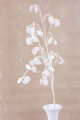 Umelá vetvička MagicHome Vianoce, MoneyPlant.White, biela, 56x107 cm, 8, náradie