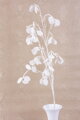 Umelá vetvička MagicHome Vianoce, MoneyPlant.White, biela, 56x107 cm
