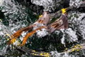 Vtáčik so štipcom MagicHome, hnedý, 15x5x5 cm, 2 ks, 6, náradie