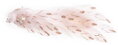 Páv MagicHome, ružový, 36x11x15 cm, 2, náradie