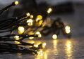 Vianočné osvetlenie reťaz Ceibo, 96 LED, teplá biela, 7 m, exteriér