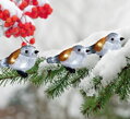 Vonkajšie vianočné osvetlenie reťaz A Bird, 25 LED, IP44, 3xAA, 5 vtáčikov 2 detail