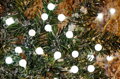 Vianočné osvetlenie reťaz Cherry Balls, 100× LED, studená biela, 9,9 m, exteriér 3 detail