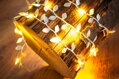 Vianočné osvetlenie reťaz Leafdeco, 20× mLED, teplá biela, 1,9 m, interiér