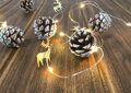 Vianočné osvetlenie na stromček reťaz Pine, 20 LED teplá biela, so zasneženými šiškami, 2xAA, jednoduché svietenie, osvetlenie, L-1,9 m