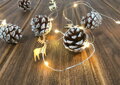 Vianočné osvetlenie reťaz Pine, 20 LED, teplá biela, 1,9 m