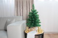 Vianočný stromček Leo, jedľa v jute, extra hustý, 60 cm