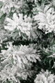 Vianočný stromček Snowy, jedľa v jute, zasnežený, 60 cm 1 detail