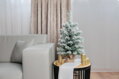 Vianočný stromček Snowy, jedľa v jute, zasnežený, 60 cm 2 detail