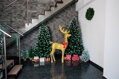 Vianočný stromček Albero, jedľa, zasnežené konce, so šiškami, 200 cm
