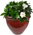 Kvetináč Strend Pro, glazúra, červený, 38 cm 1 detail