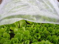 Netkaná textília Garden B1106 3,2x05 m, 17 g/m, biela, 2, náradie