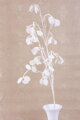Umelá vetvička MagicHome Vianoce, MoneyPlant.White, biela, 56x107 cm, 2, náradie