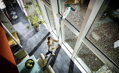 Leifheit 51003 Window cleaner, Čistič okien s tyčou 43 cm, mop na okná, 12, náradie