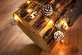 Vianočné osvetlenie na stromček reťaz Pine, 20 LED teplá biela, so zasneženými šiškami, 2xAA, jednoduché svietenie, osvetlenie, L-1,9 m 1 detail