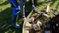 Trávnikový lem Strend Pro Garden, 150 mm, L-6 m, kov 6 detail