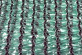 Tieniaca sieť na plot HDPE 80% 1,5x50m, zelená 1 detail