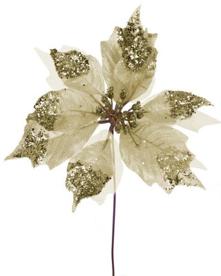 Kvet Poinsettia Glisheer.Gold, zlatá, stonka, 23x25 cm, bal. 6 ks