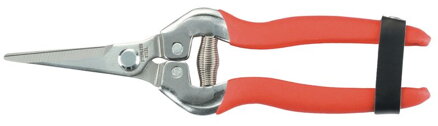Nožnice na ovocie Strend Pro Premium 803BS, 185 mm, záhradné, rovné