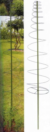 Tyč GreenGarden TOMA, 165x30 cm + 3 spony, na paradajky