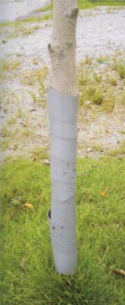 Ochrana na stromčeky GreenGarden GUARDIAN, 100 cm, 3 ks